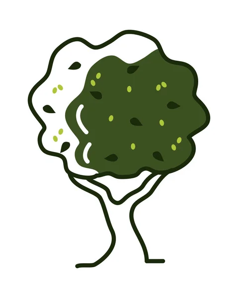 Ikona Olivovníku Rostlinné Přírody — Stockový vektor