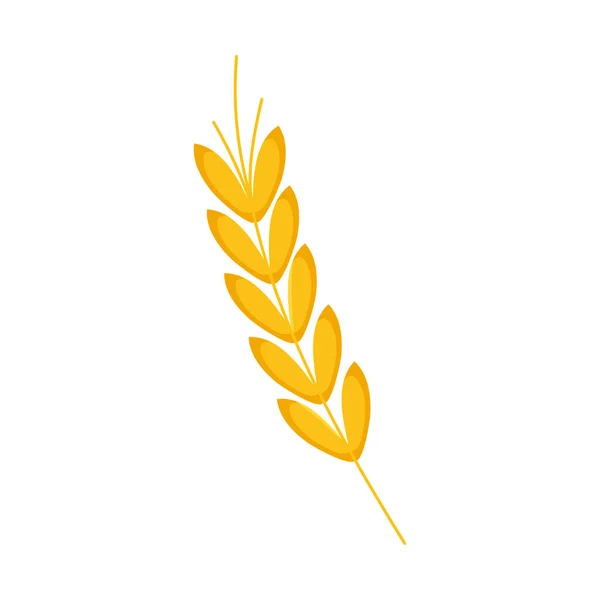 Zlatá Pšenice Hrot Přírodní Ikona — Stockový vektor