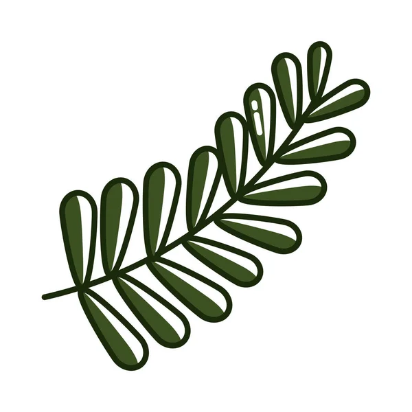 Branche Olive Verte Icône Nature — Image vectorielle