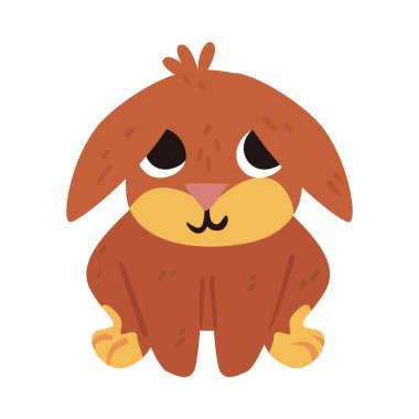 Beyazın üstünde şirin bir köpek