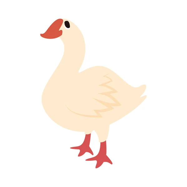 Flat Cute Duck White — Stock Vector