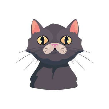 beyaz üzerine kedi yüz tasarımı
