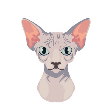 Beyazın üzerinde sfenks kedi yüzü