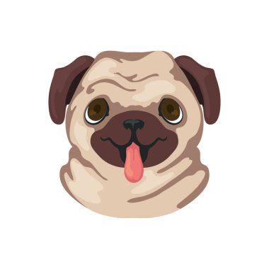 Beyaz yerine sevimli pug surat.