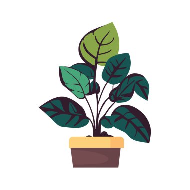 Beyazın üzerine saksı bitkisi çizimi