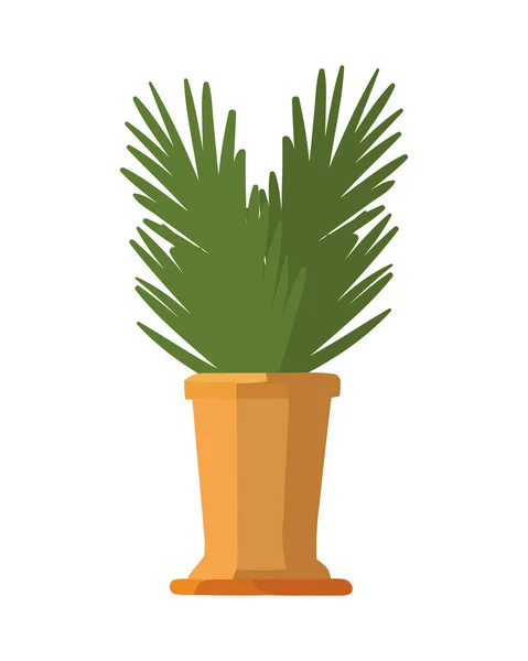 Plante Décorative Pot Sur Blanc — Image vectorielle
