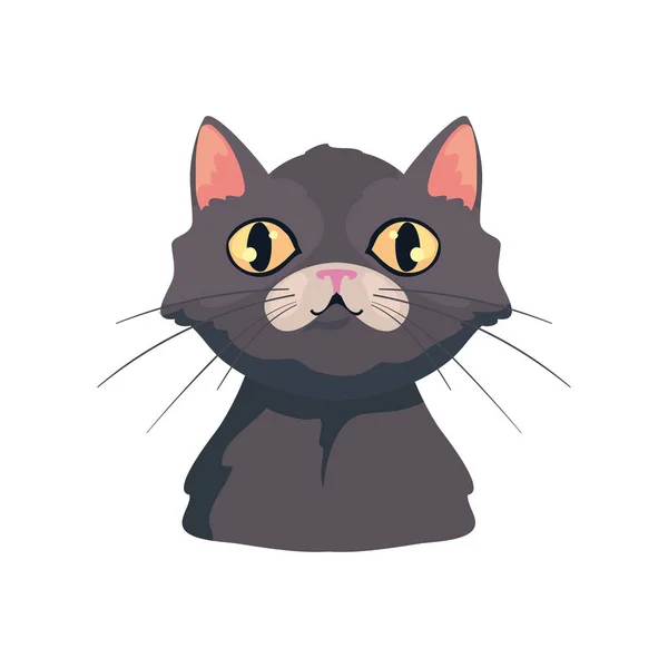 Katt Ansikte Design Över Vitt — Stock vektor