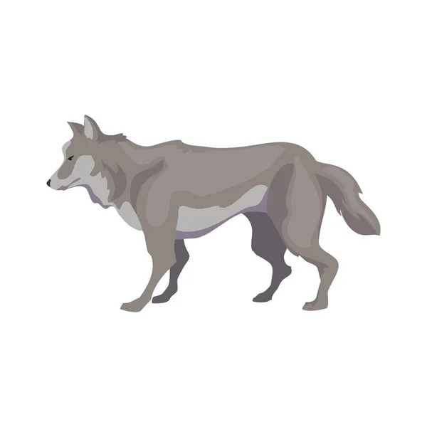 Wild Wolf Ontwerp Boven Wit — Stockvector