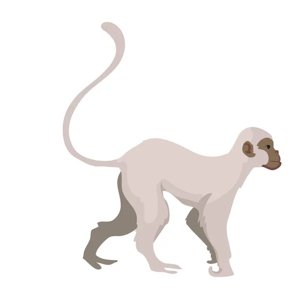 Projeto Macaco Selvagem Sobre Branco —  Vetores de Stock