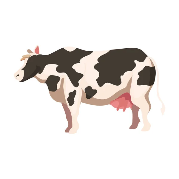 Domestic Cow Design White — Stock Vector
