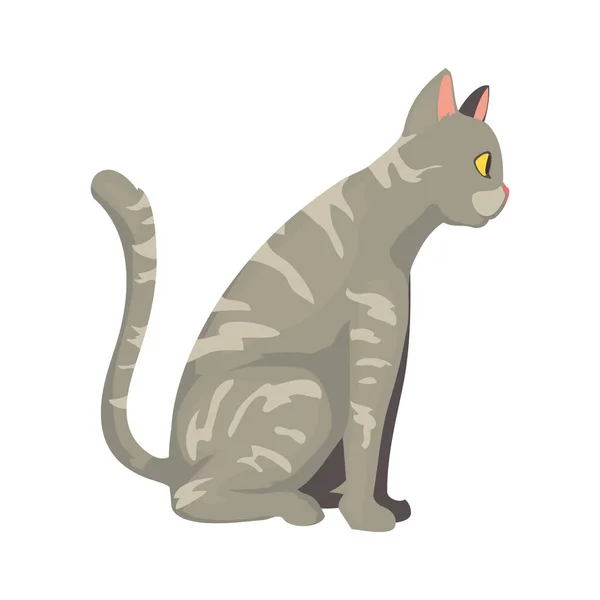 Οικιακή Σχεδίαση Γάτας Πάνω Από Λευκό — Διανυσματικό Αρχείο