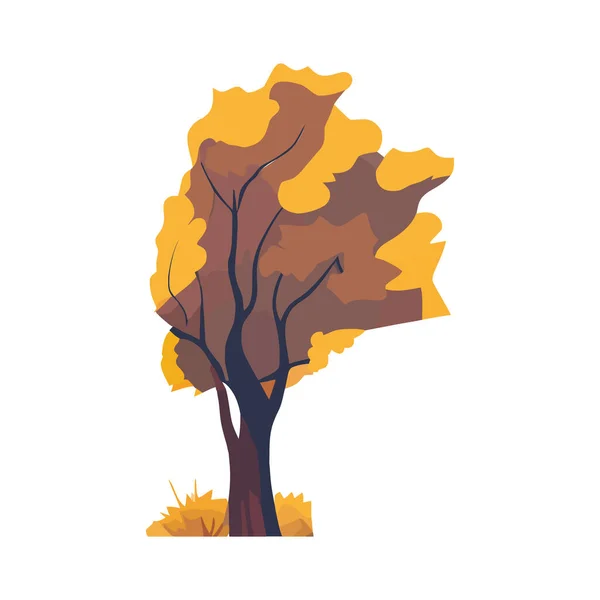 Orange Träd Illustration Över Vitt — Stock vektor