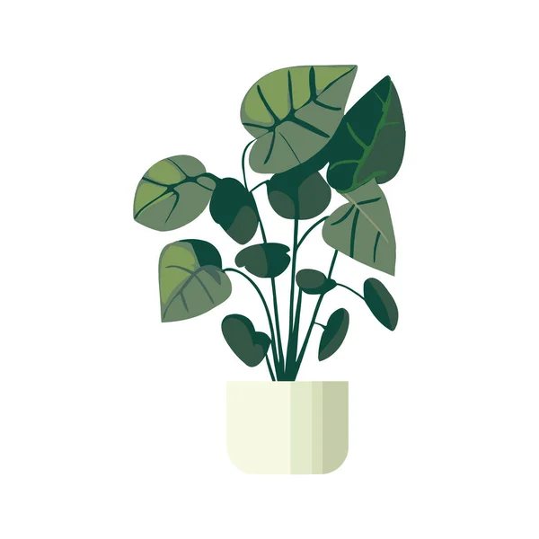 Изображение Растения Горшке Белом — стоковый вектор