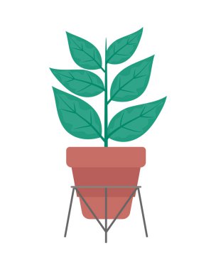 Organik büyüme, taze saksı bitkileriyle sembolize ediliyor. izole