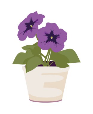 Nature beauty blooms in decorative flower pot isolated clipart