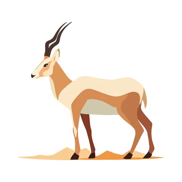 Gehörnte Safari Gazelle Weidet Isoliert Auf Flachem Gras — Stockvektor