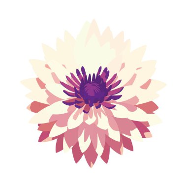 Papatya çiçeği yalnız doğayı süslüyor.