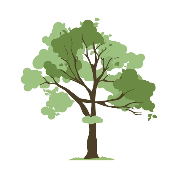 Ανάπτυξη Της Φύσης Συμβολίζεται Απομονωμένη Μορφή Δέντρου — Διανυσματικό Αρχείο