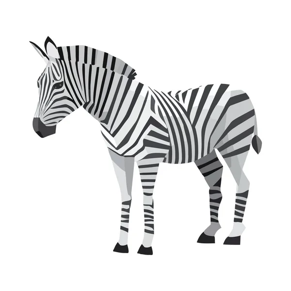 Zebra Listrada Fica Savana Isolada — Vetor de Stock