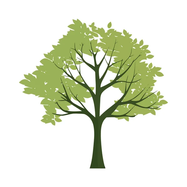 Feuilles Vertes Sur Les Branches Symbole Croissance Isolée — Image vectorielle