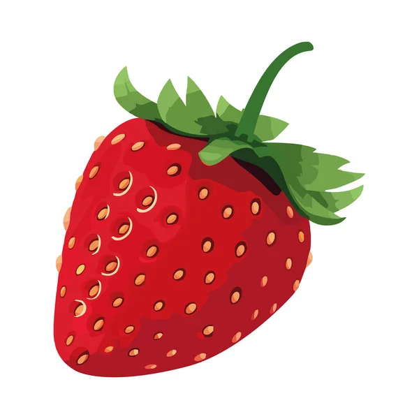 Saftige Reife Erdbeere Süß Und Erfrischung Isoliert — Stockvektor