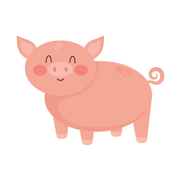 Cheerful Piglet Standing Farm Isolated — Stock Vector