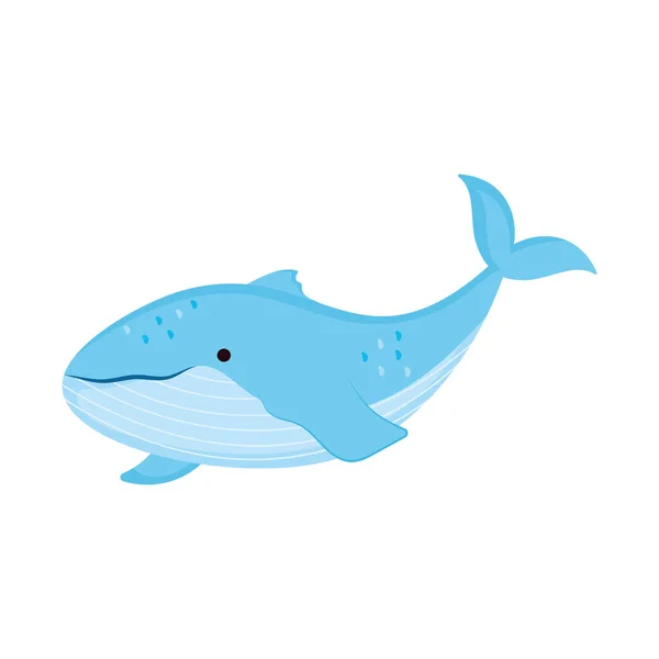 Baleia Bonito Nada Mundo Subaquático Azul Isolado — Vetor de Stock