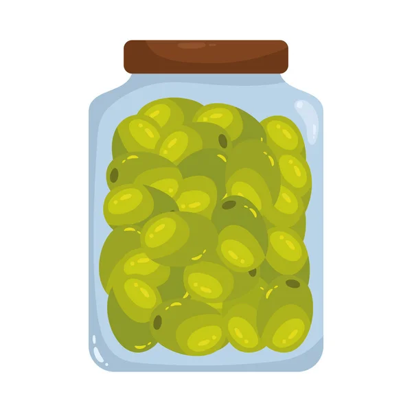 Оливковые Семена Контейнере — стоковый вектор