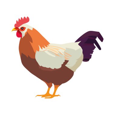 beyaz üzerinde düz horoz illüstrasyon