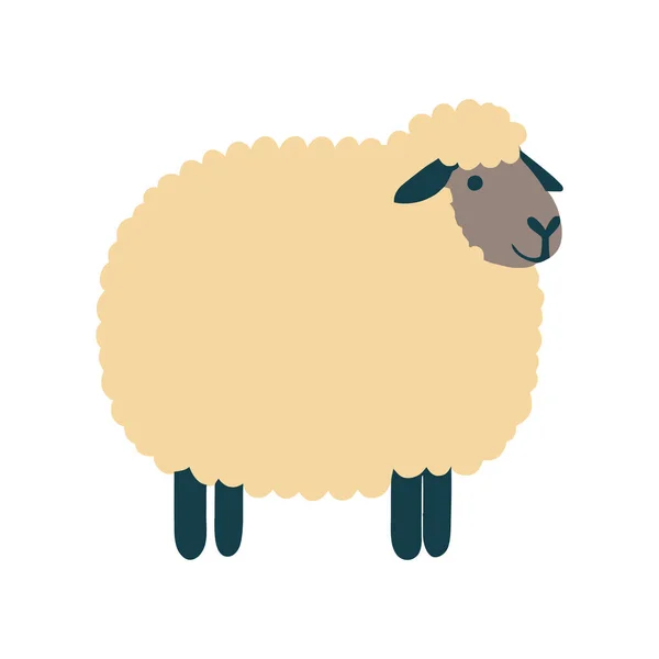 Плоская Овца Иллюстрация Над Белым — стоковый вектор