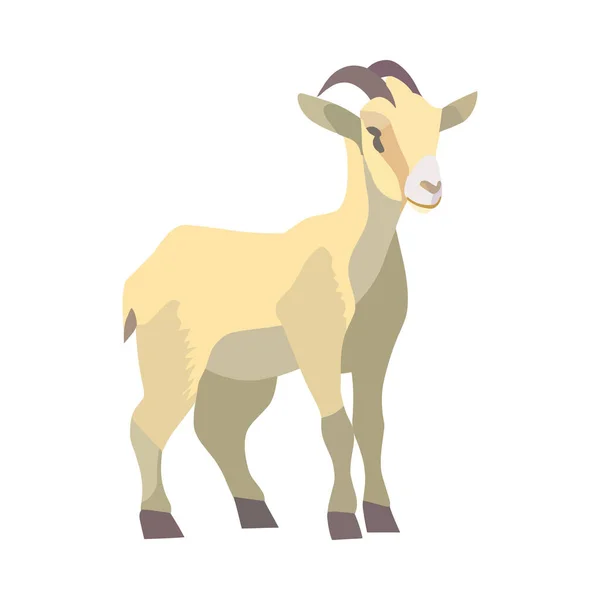 Flat Goat Illustration White — Stock Vector