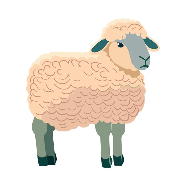 Bembeyaz Yerine Şirin Koyunlar — Stok Vektör