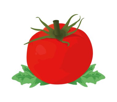 Taze organik domates salatası. Sağlıklı vejetaryen yemeği.