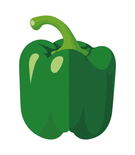 Frisches Bio Gemüse Paprika Und Gesunde Ernährung Isoliert — Stockvektor