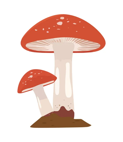 Crescita Funghi Commestibili Autunno Stagione Forestale Isolato — Vettoriale Stock