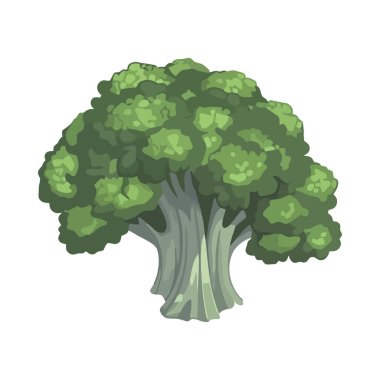 Taze brokoli sağlıklı vejetaryen yeme alışkanlıklarını sembolize eder.