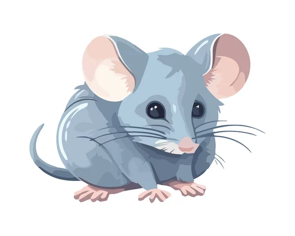 Rat Pelucheux Assis Isolé Sur Blanc Isolé — Image vectorielle