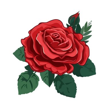 Romantik bir buket taze yaz çiçeği.