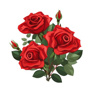 İzole düğün günü için taze güller.