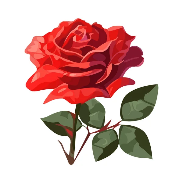Bouquet Romantique Été Cadeau Amour Isolé — Image vectorielle