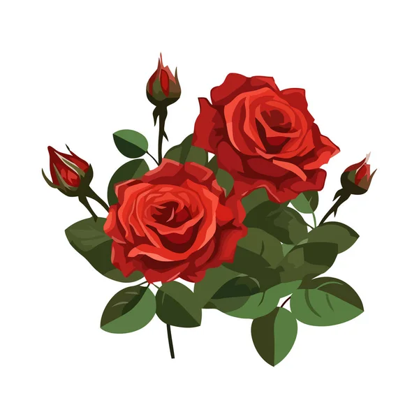 Rozen Bloemen Symboliseert Liefde Feest Geïsoleerd — Stockvector