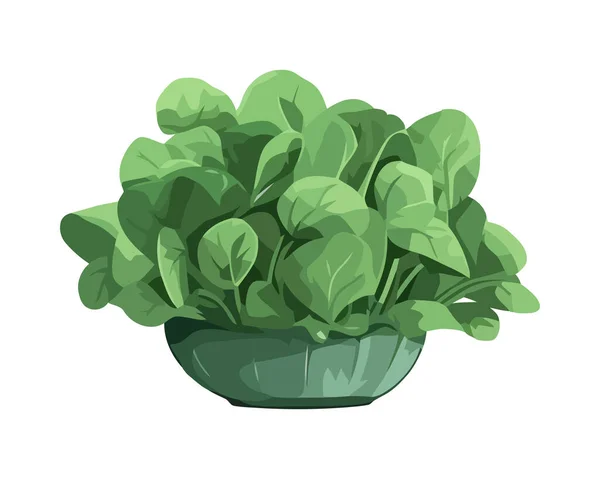 Salade Bio Fraîche Repas Végétarien Sain Isolé — Image vectorielle