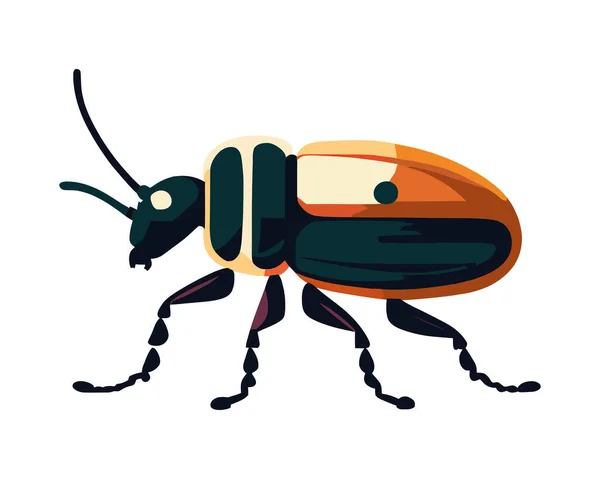 白の上に小さな昆虫のシンボルデザイン — ストックベクタ