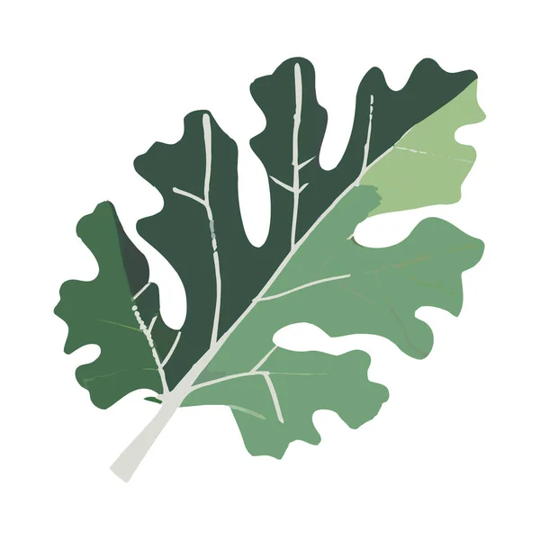 Les Feuilles Vertes Symbolisent Croissance Des Natures Sur Blanc — Image vectorielle