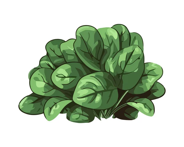Herbes Légumes Frais Biologiques Pour Une Alimentation Saine Isolés — Image vectorielle