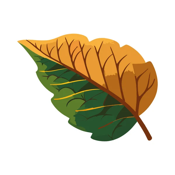 Podzimní Listí Žluté Větvi Stromu Silueta Nad Bílou — Stockový vektor