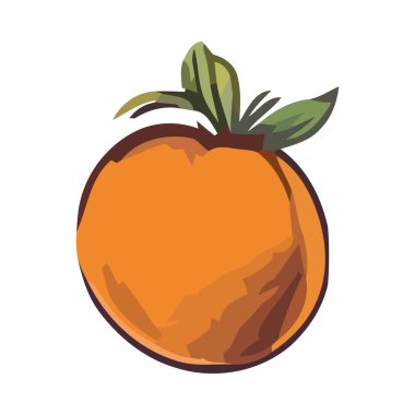 Taze organik domates, olgun ve sulu izole edilmiş.