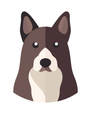 Şirin teriyer köpeği. Sadık bir dost sonsuza dek izole edilmiş.