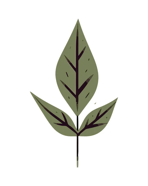 Folhas Verdes Simbolizam Crescimento Beleza Natureza Isolada — Vetor de Stock