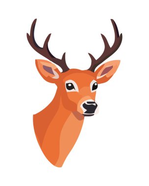 Tatlı ve boynuzlu geyik kafası izole edilmiş.